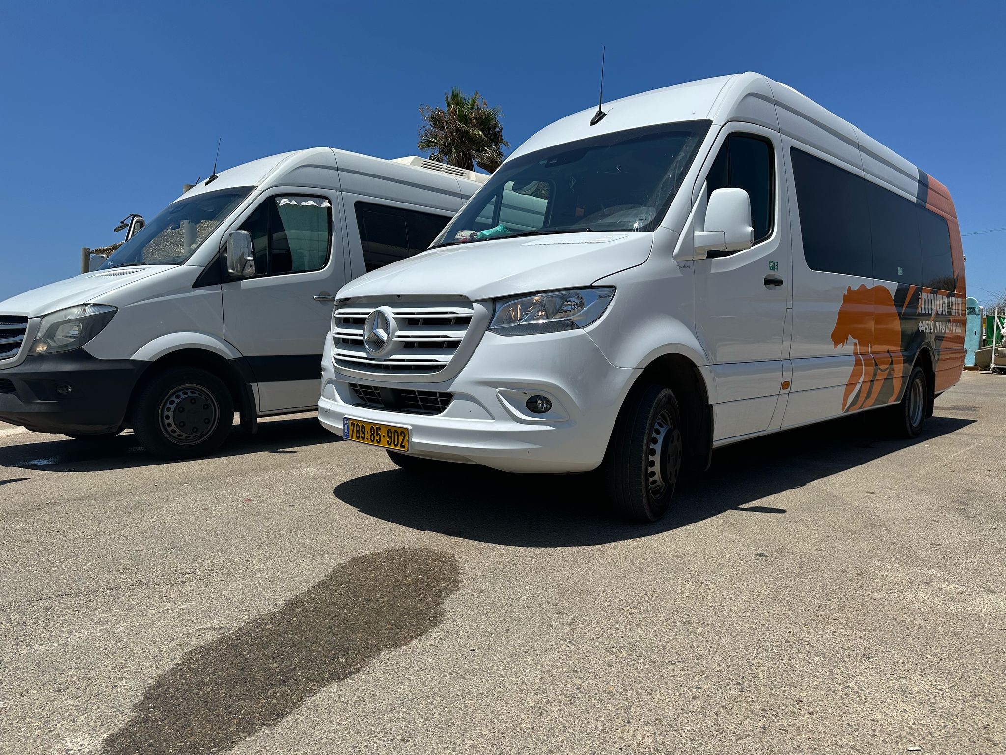 חברת הסעות בקיסריה